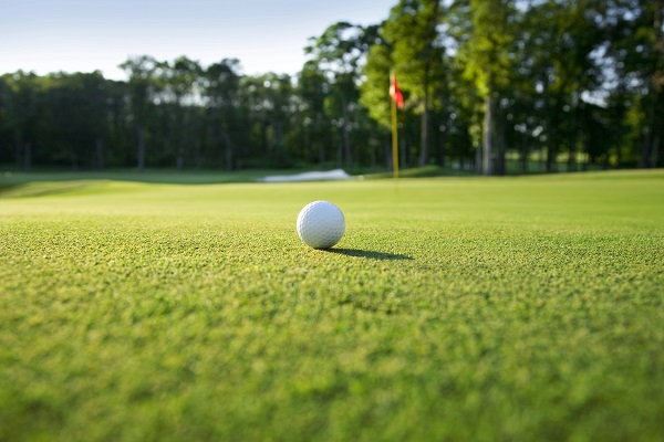 Golf ball on green